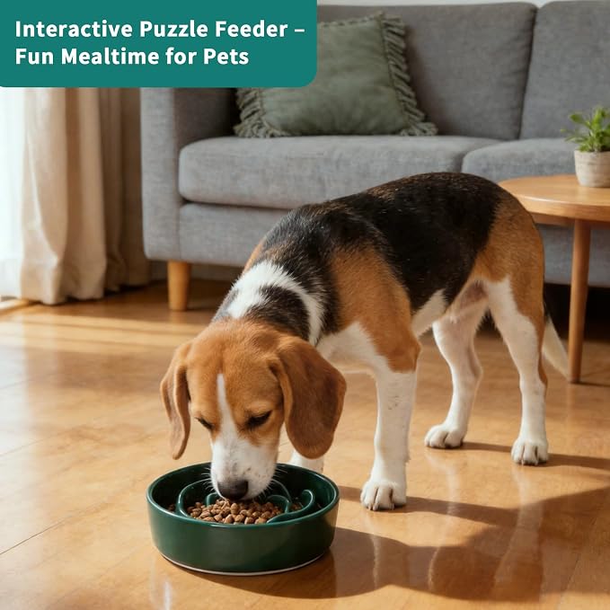 Slow Feeder Dog Bowls,Ceramic Slow Feeding Bowl for Small and Medium Breed,Anti Choking Puzzle Dog Food Bowl with Non-Slip Base for Fast Eater(Green, S-0.6CUP)