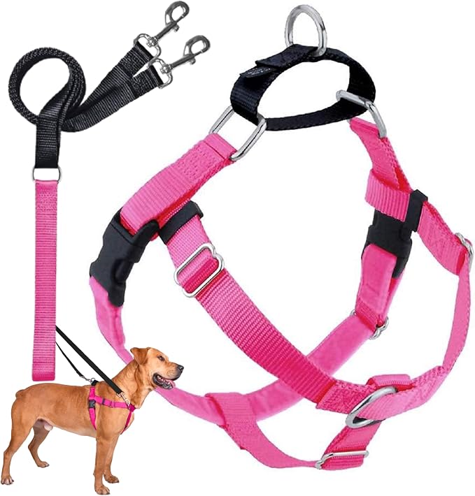 2 Hounds Design Freedom No Pull Dog Harness, Adjustable Harness and Leash Set, Easy Walking & Comfortable Control, Fits Small, Medium & Large Dogs, Solid Colors, Made in USA, 5/8" XS, Raspberry