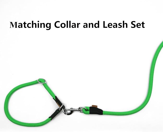 Dog Leash, Braided Rope Traction – Walking Training Lead for Small Dogs ((1/3") x 6FT, Light Green)