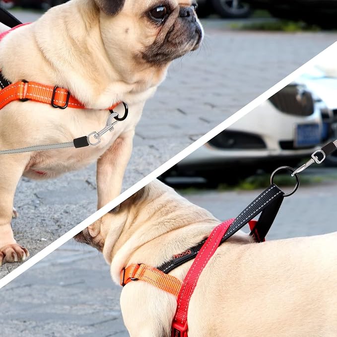 Didog No Pull Dog Harness with Soft Padded Handle, Quick Fit & Lightweight Adjustable Vest Harness, Easy for Training Walking for Small & Medium and Large Dogs(Red,S)