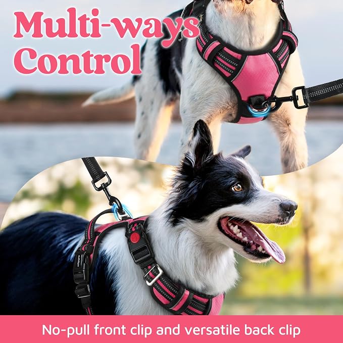 rabbitgoo Dog Harness for Large Dogs, 3 Buckles Easy On & Off No Pull Pet Vest, Soft Padded Walking Pet Harness with Control Handle, Adjustable and Reflective, Pink, L