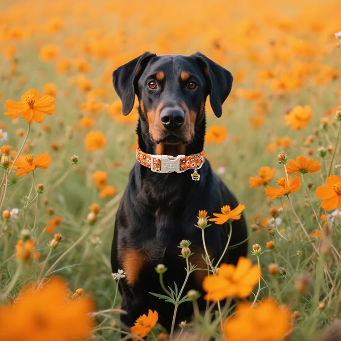 Unique style paws Dog Collar Plastic Buckle with Pendant Bee Daisy Puppy Collars for Small Medium Large Boys Girls Dogs