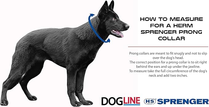 Herm Sprenger Prong Dog Training Collar - 16" Long with 2.25mm Gauge (for Dogs up to 40lbs) - Fits 13" Neck, Extendable to 19" Neck with Additional Prong Links - Chrome Plated Steel, Made in Germany
