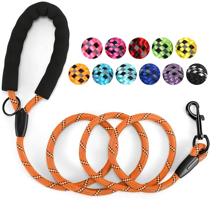 Heavy Duty Dog Leash - 4.9 FT for Large and Small Dogs - Strong Nylon, Comfortable Handle, Reflective Stitching - Ideal for Walking, Training, and Outdoor Activities, Orange