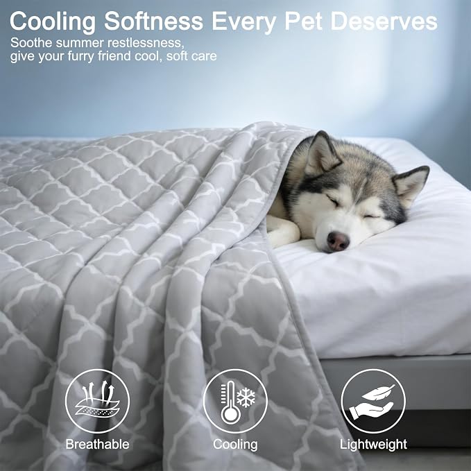 EXPAWLORER Dog Cooling Blanket - Washable Dog Cool Throw Blanket,Soft Lightweight Cooling Mat for Bed Cover, Extra Large Summer Soft Pet Pad for Large Dogs Puppy Cat,28"x40"