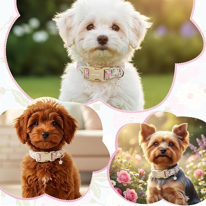 Dog Collar for Small Medium Large Dogs, Spring Blue Dog Collars with Pink & White Flowers, Adjustable Cotton Dog Collars, Cute Girl or Boy Dog Collar Ideal for Gifts,Pet Accessory,M