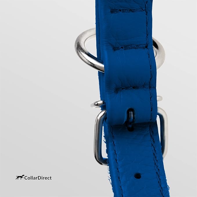 CollarDirect Rolled Leather Dog Collar, Soft Padded Round Puppy Collar, Handmade Genuine Leather Collar Dog Small Large Cat Collars 13 Colors (8-11 Inch, Deep Blue Textured)