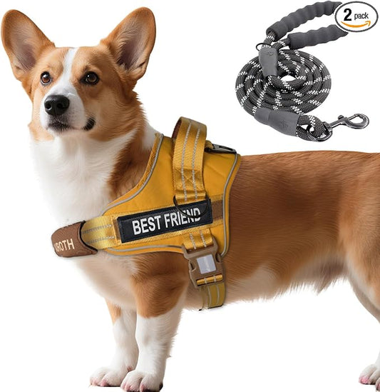 AUROTH Dog Harness and Leash Set, Soft Padded Service Dog Vest with 5.25FT Dog Leash, No Choke, Easy On Pet Vest, Adjustable Reflective No Pull Dog Harness Small Sized Dog, Easy Walking and Training
