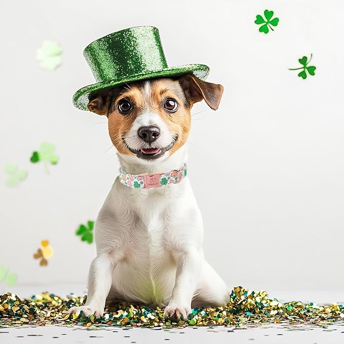 St. Patrick's Day Dog Collar for Medium Dogs - Lucky Clover Pastel Dog Collars, Irish Spring Shamrock Pet Collars, Adjustable Heavy Duty Dogs Collar with Metal Buckle M