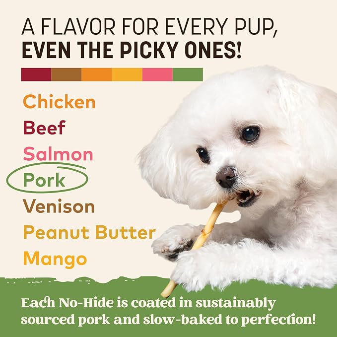 Earth Animal No Hide Stix - Long Lasting Rawhide Free Small Dog Chews Sticks, Pork - 10 Count