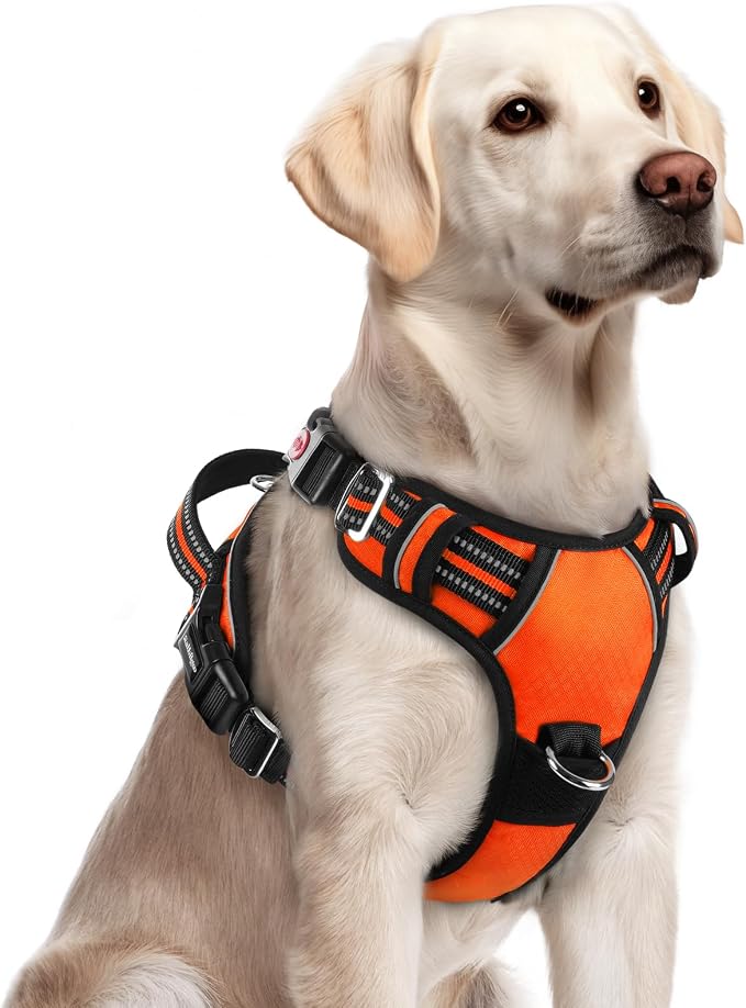rabbitgoo Dog Harness for Large Dogs, 3 Buckles Easy On & Off No Pull Pet Vest, Soft Padded Walking Pet Harness with Control Handle, Adjustable and Reflective, Orange, L