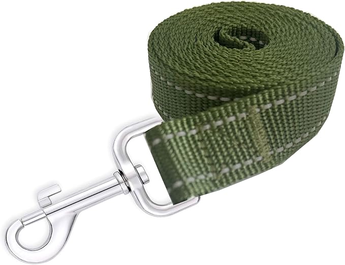 Reflective Dog Leash 4Ft /6 Feet Long, 3/4 Inch Wide, for Small and Medium Dogs