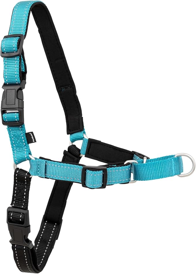 PetSafe Easy Walk Deluxe Dog Harness, No Pull Dog Harness Perfect for Leash & Harness Training Stops Pets from Pulling and Choking on Walks Large, Ocean