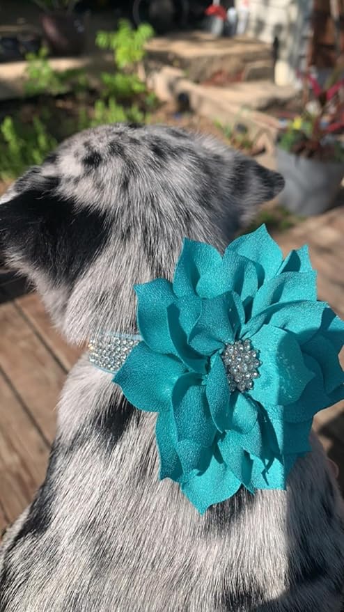 Cute Dazzling Sparkling Soft Suede Leather Dog Rhinestone Collar, Crystal Diamond Buckle, Blue, XS