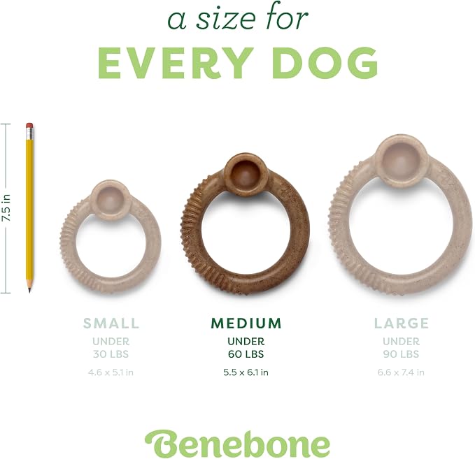 Benebone Ring Durable Dog Chew Toy for Aggressive Chewers, Real Bacon, Made in USA, Medium