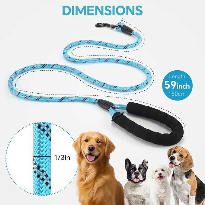 Heavy Duty Dog Leash - 4.9 FT for Large and Small Dogs - Strong Nylon, Comfortable Handle, Reflective Stitching - Ideal for Walking, Training, and Outdoor Activities, Sky Blue