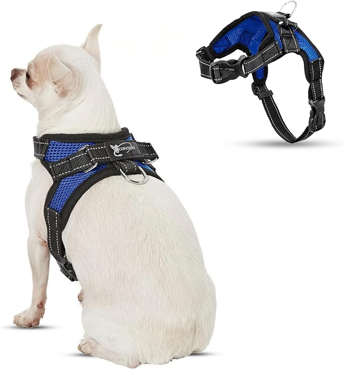 No Pull Reflective Adjustable Dog Harness With Handle- Comfortable Soft All Weather Mesh, Easy On Puppy Harness For Small Medium and Large Dogs (Blue) X-Small