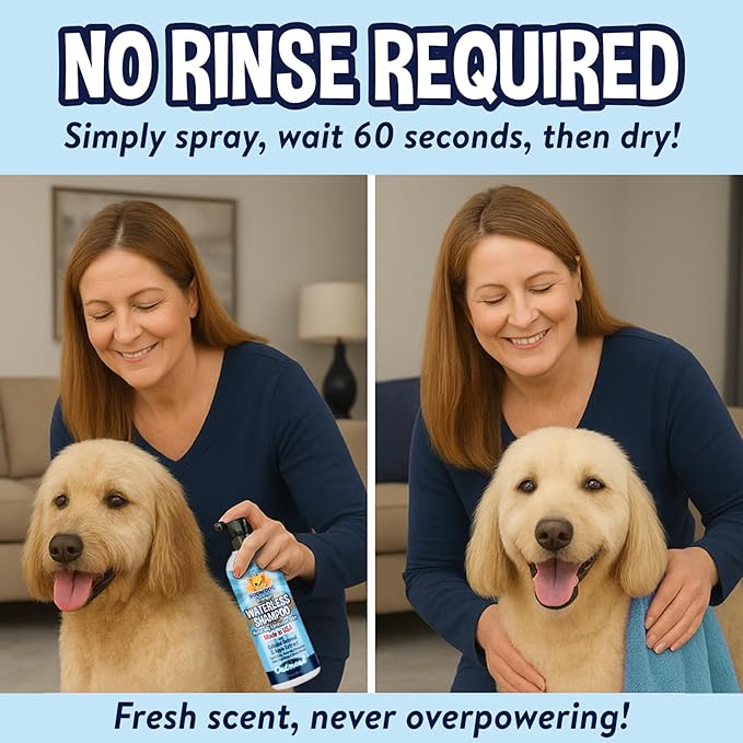 Bodhi Dog Waterless Shampoo - Natural Dry Shampoo for Dogs & Cats - Neutralizes Pet Odor - No Rinse Required - Made of Natural Extracts - Safe for Sensitive Skin - Oatmeal & Apple (17 Fl Oz)