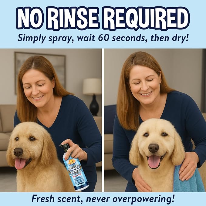Bodhi Dog Waterless Shampoo - Natural Dry Shampoo for Dogs & Cats - Neutralizes Pet Odor - No Rinse Required - Made of Natural Extracts - Safe for Sensitive Skin - Oatmeal & Apple (8 Fl Oz)