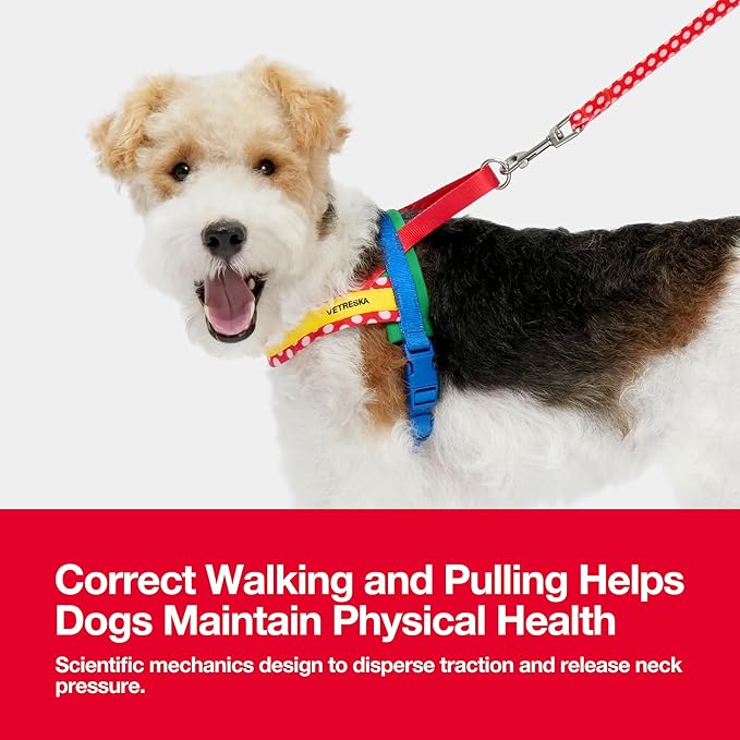 VETRESKA MoMA Dog Harness for Medium Large Dogs, Easy Walk Dog Harness and Leash Set, No Pull Dog Vest Harness for Walking and Training, Adjustable, Take Control & Anti-Twist Pet Lead Combo (Red, M)