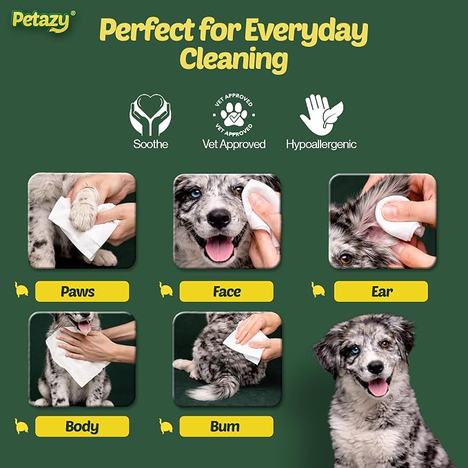 Petazy Pet Wipes for Dogs and Cats – 200 Count (8x8in) Hypoallergenic, Deodorizing Dog Wipes for Paws, Ears and Butt | XL with Aloe & Coconut Oil, Chamomile Scented | Travel Size, 2 On-the-Go Packs