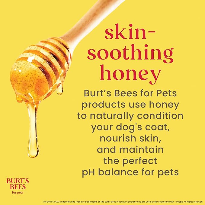 Burt's Bees for Pets Itch Soothing Dog Shampoo with Honeysuckle and Conditioning Honey pH Balanced No Sulfates No Parabens 95 Percent Natural Origin Cruelty Free Made in USA 16 FL OZ 6 Pack