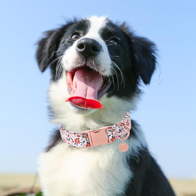Summer Dog Collar, Little Flower, Cotton with Adjustable Buckle for Small, Medium, Large Dogs