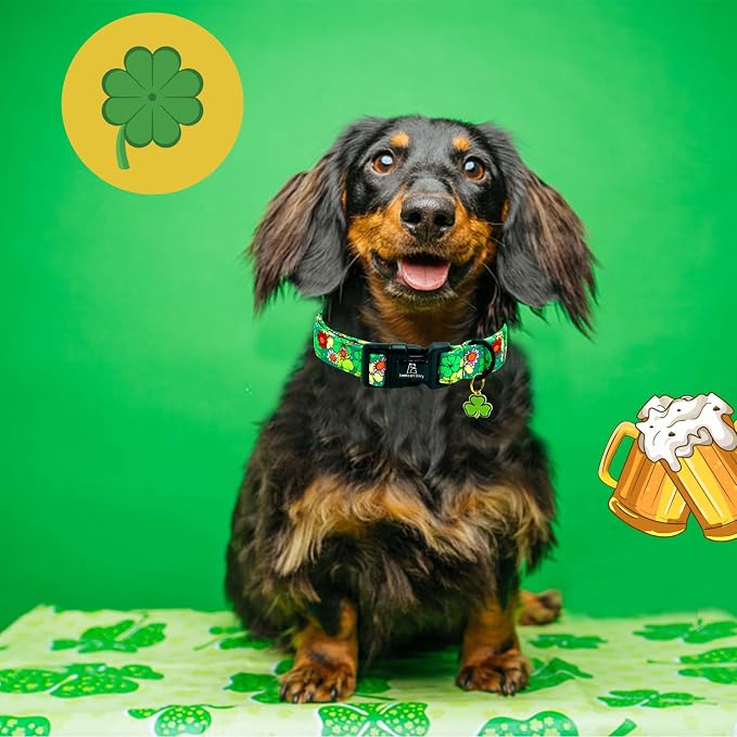 Lionheart glory St. Patrick's Dog Collar-Lucky Clover Shamrock Green Spring Trefoil Dog Collar for Small Dogs Adjustable Heavy-Duty Puppy Collars Pet Gift Female