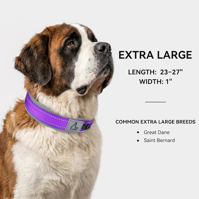 Joytale Dog Collar for Extra Large Dogs, Neoprene Padded and Adjustable, Reflective Wide Heavy Duty Pet Collars with Durable Metal Belt Buckle for Walking, Purple, XL