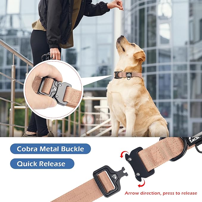 Dog Collar for Large Dogs - Adjustable, Chew Proof Nylon Collar with Metal Quick Release Buckle and D-Ring for Dog Tags (Carolina Blooms, XS(0.5''Width, Fit 8''-11''))