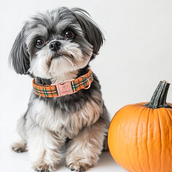 Fall Dog Collar for Puppy Small Dogs - Vintage Orange Green Plaid Tanksgiving Puppy Collar, Adjustable Heavy Duty Halloween Festivel Dog Collars with Metal Buckle XS