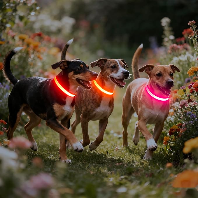 Vizpet LED Dog Collar, Light Up Dog Collar Adjustable USB Rechargeable Super Bright Safety Light Glowing Collars for Dogs(X-Large,Red)