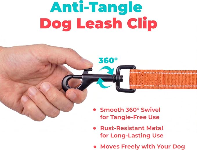 Best Pet Supplies Voyager Reflective Dog Leash or Collar with Neoprene Handle, for Small, Medium, and Large Breed Puppies, Cute and Heavy Duty for Walking, Running and Training - Orange (Leash), M