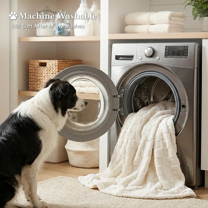 David's Home Large Dog Blankets Washable Pet Bed Cover, Soft Fluffy Fuzzy Cat Puppy Blanket with Premium 300GSM Fleece for Pet Kitten Doggy, Cream, 50x60IN