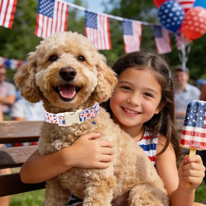 Summer Dog Collar for Boy Girl Dogs -Cute Popsicle Dog Collar, Adjustable Soft 4th of July Dogs Collars for Small Medium Dogs, XS