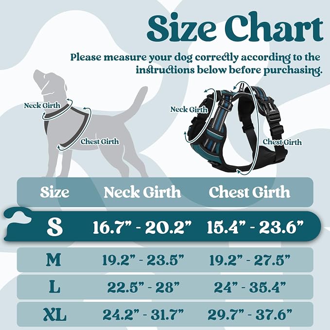 rabbitgoo Dog Harness Small Sized, No Pull Easy On & Off with 3 Buckles Pet Harness, Adjustable Soft Walking Vest with 2 Clips and Handle, Reflective for Small Dogs, Blue Coral, S