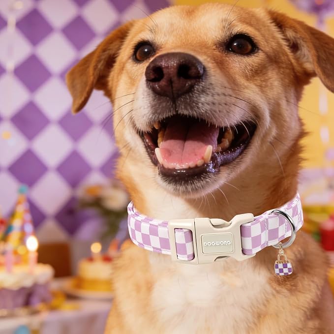 DOGWONG Purple Girl Dog Collar, Purple Checked Girl Dog Collars, Cute Soft Purple Plaid Dogs Collars for X-Small Puppies Dogs, Neck 8-12 inches