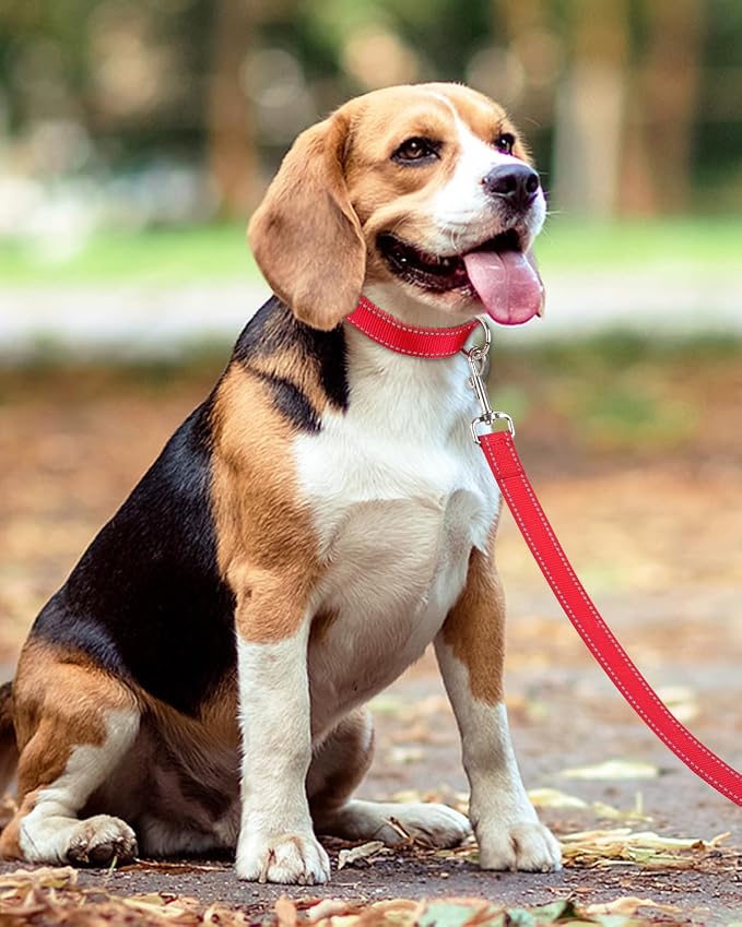 Taglory Dog Leash for Medium Large Dogs, Double-Sided Reflective for Night Walking, Neoprene Padded Handle, 1 inch by 5 ft, Heavy Duty for Medium Large Breeds 20-150 lbs, Red