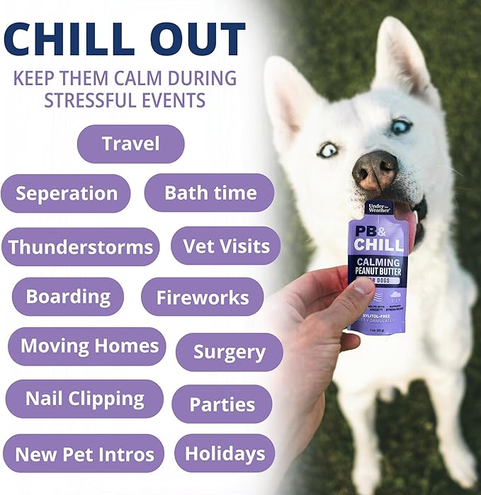 Under the Weather Pet PB & CHILL Dog Peanut Butter Dog Treats | Vet-Formulated 100% Natural and Tasty Calming Treats for Dogs | Promotes Calmness and Relieves Anxiety for Dogs | 1 Oz - Pack of 6
