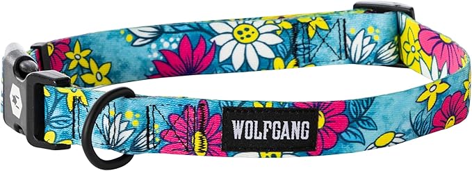 Wolfgang Heavy Duty, Adjustable Dog Collar with Quick Release Nylon Buckle for Walking & Training, LazyDaisy Print, Medium
