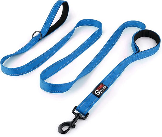 Primal Pet Gear Dog Leash 8ft Long - Blue - Traffic Padded Two Handle - Heavy Duty - Double Handles Lead for Control Safety Training - Leashes for Large Dogs or Medium Dogs - Dual Handles Leads