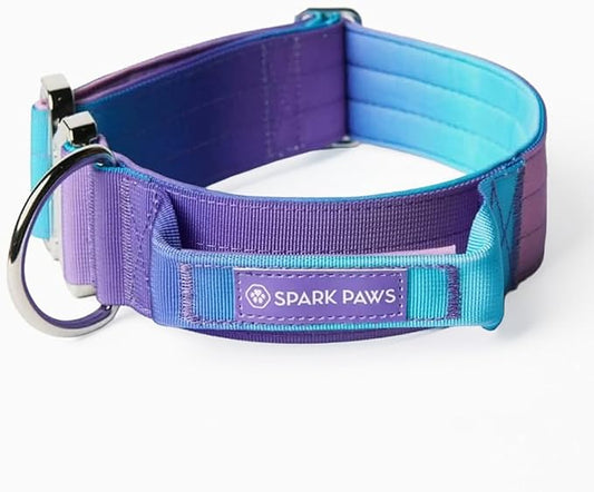 Spark Paws Tactical Dog Collar - Heavy Duty, Premium Quality, Thick and Durable for Large and Medium Dogs - 90's Retro - XS - 1"