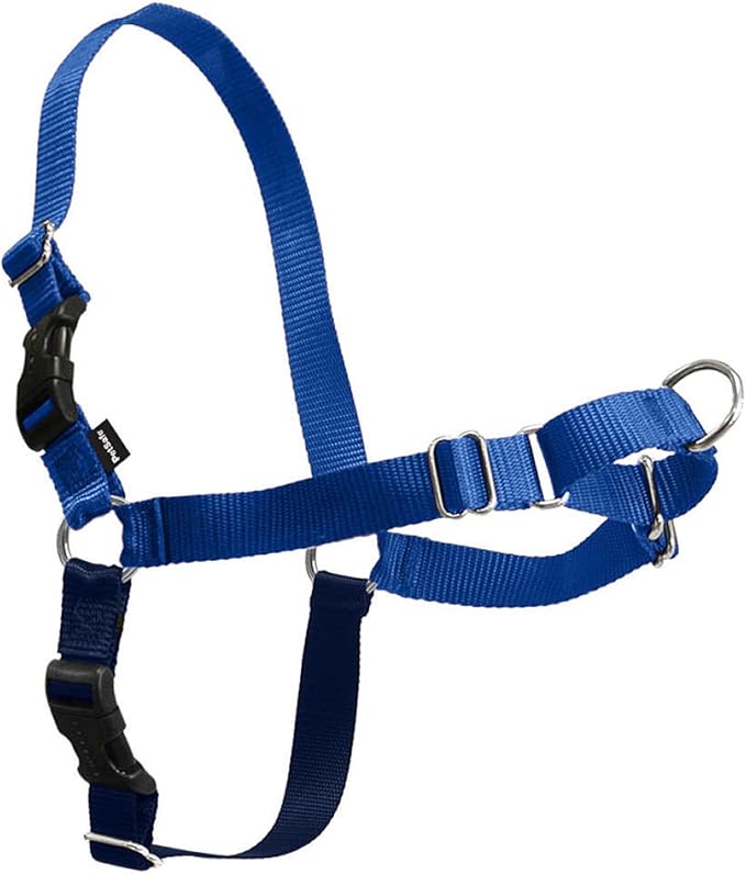 PetSafe Easy Walk No-Pull Dog Harness - Ultimate Harness to Help Stop Pulling - Pull-Free Walks - Take Control & Teach Better Leash Manners - Patented Martingale Loop Design - Royal Blue, Small/Medium