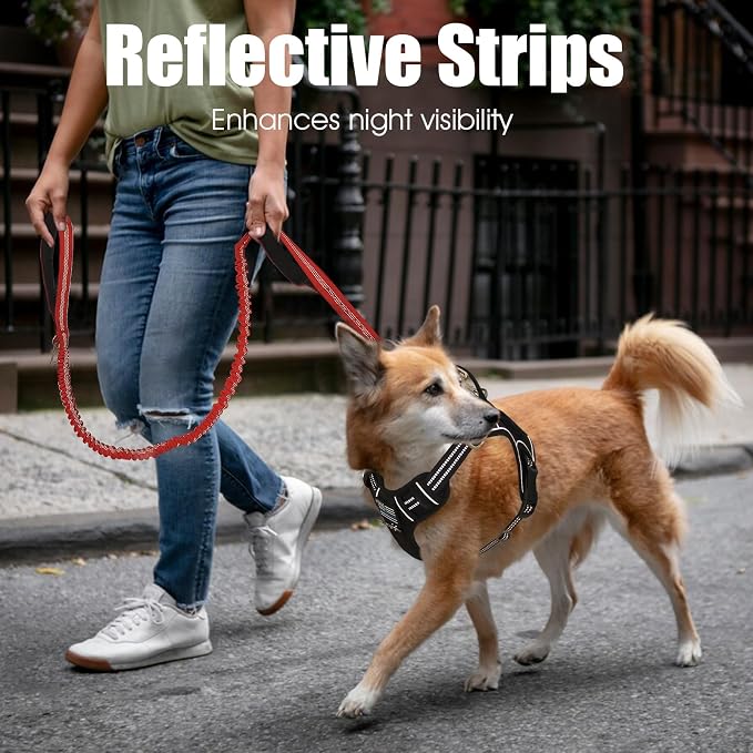 BUMBIN 6Ft Dog Leash Large Dogs, Bungee Dog Leash with 2 Handles, Heavy Duty Dog Leashes for Medium Small Dogs, No Pull Shock Absorbing Dog Leash with Car Seat Belt for Training, Red