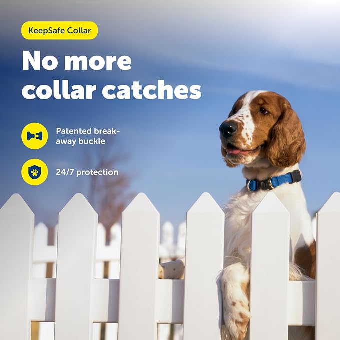 PetSafe KeepSafe Break-Away Collar 1 in Wide, Large, Royal Blue Prevent Collar Accidents for Your Dog or Puppy Improve Safety, Compatible with Leash Use, Adjustable Sizes