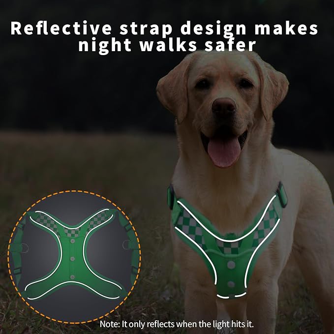 Dog Lovely Harness with Leash Set, Adjustable Step in with Breathable Padded Puppy Harness for Large Medium Dogs (L Green)