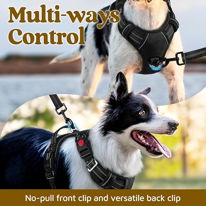 rabbitgoo Dog Harness Medium Sized, 3 Buckles Easy On & Off No Pull Pet Vest, Soft Padded Walking Pet Harness with Control Handle, Adjustable and Reflective, Black, M