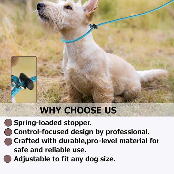Slip Lead Dog Leash – Strong Nylon Training Rope with Spring-Loaded Adjustable Stopper – 5/16" x 4/5/6ft -No Pull Heavy Duty Leash for Small Medium Large Dogs(Light Purple, 6 FT)