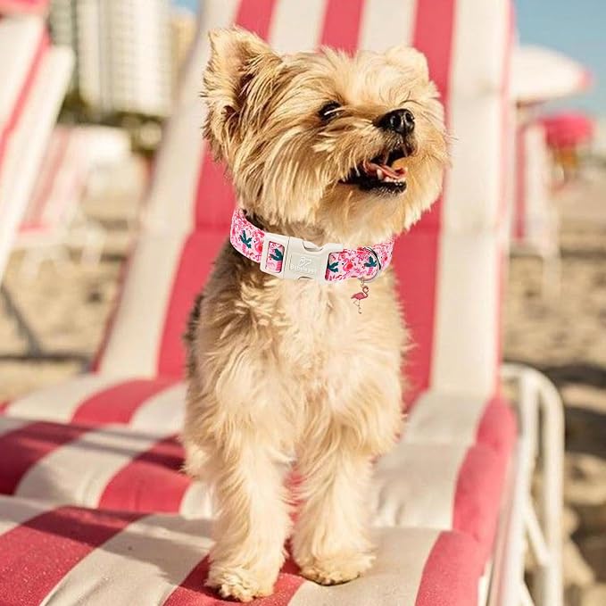 Summer Dog Collar Pink Flamingo Dog Collars for Medium Dogs - Lightweight Adjustable Cute Male Female Dogs Everyday Collar with Quick Release Buckle M