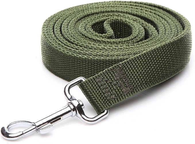 Nylon Dog Leash with 2-Layer, 4 FT/ 6 FT/ 7FT Long, 1 Inch Wide for Medium Large Dogs